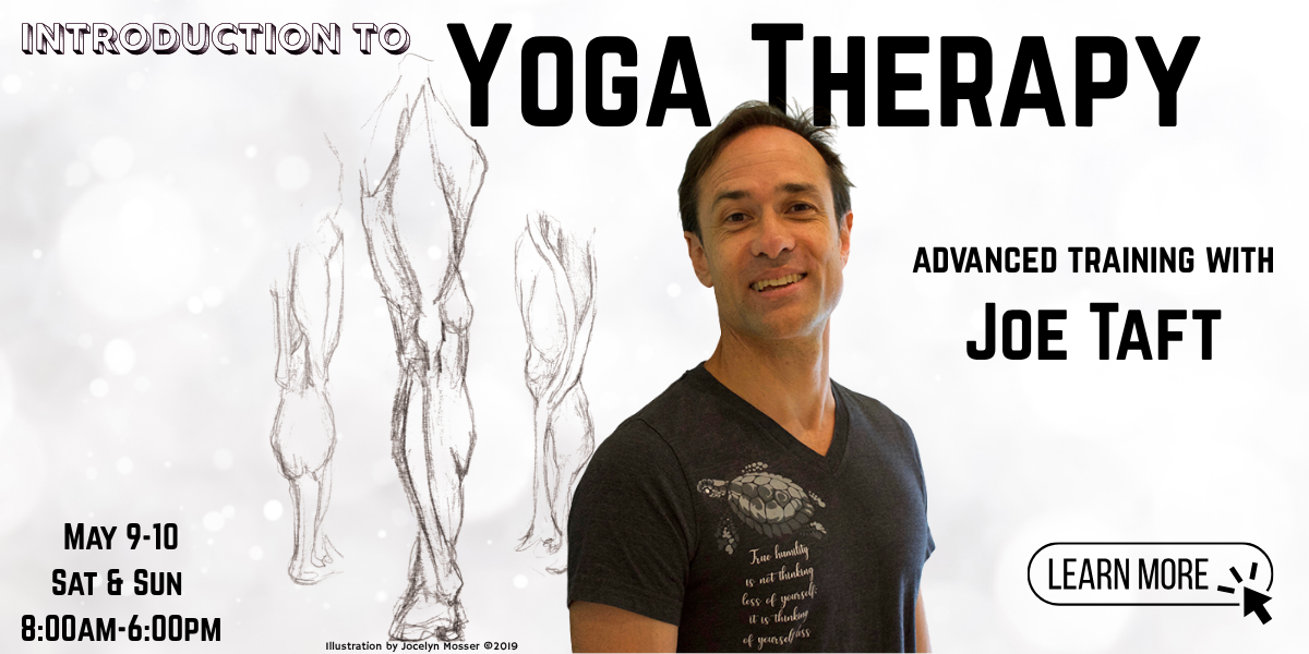 Intro To Yoga Therapy